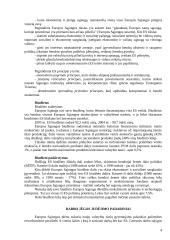 Europos Sąjunga (ES): nauda ir praradimai 4 puslapis