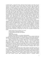 Europos Sąjunga (ES): nauda ir praradimai 5 puslapis