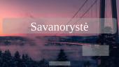Savanorystė Lietuvoje ir užsienyje
