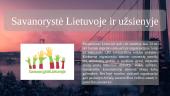 Savanorystė Lietuvoje ir užsienyje 2 puslapis