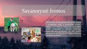 Savanorystė Lietuvoje ir užsienyje 3 puslapis
