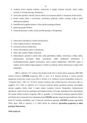 Europos Sąjungos (ES) parama Lietuvai rengiantis narystei 13 puslapis