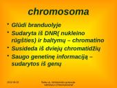 Apie ląstelės dalijimąsi 2 puslapis