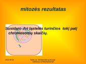 Apie ląstelės dalijimąsi 15 puslapis