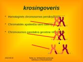 Apie ląstelės dalijimąsi 19 puslapis