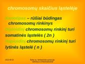 Apie ląstelės dalijimąsi 6 puslapis
