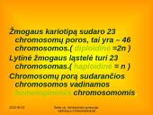 Apie ląstelės dalijimąsi 7 puslapis