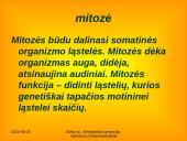 Apie ląstelės dalijimąsi 10 puslapis