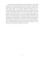 Europos Sąjungos (ES) užsienio ryšiai 12 puslapis