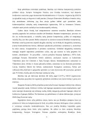 Europos Sąjungos (ES) užsienio ryšiai 3 puslapis