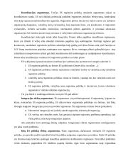 Europos Sąjungos regioninės politikos argumentai 7 puslapis