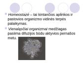 Medžiagų transportavimas 2 puslapis