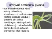 Medžiagų transportavimas 3 puslapis