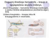 Medžiagų transportavimas 4 puslapis