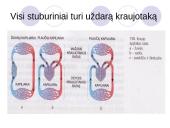 Medžiagų transportavimas 5 puslapis