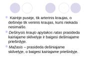 Medžiagų transportavimas 6 puslapis