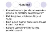 Medžiagų transportavimas 9 puslapis