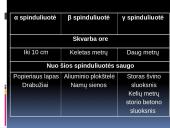 Radioaktyvumas bei radiacija 17 puslapis