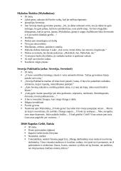 "Dėdės ir dėdienės" veikėjai