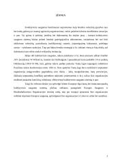 Europos Saugumo ir Bendradarbiavimo Organizacija (ESBO) 2 puslapis