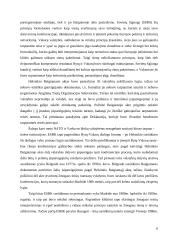 Europos Saugumo ir Bendradarbiavimo Organizacija (ESBO) 5 puslapis