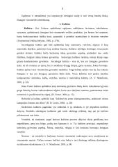 Europos šalių kultūriniai ypatumai ir ugdymas 3 puslapis