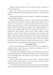 Europos šalių kultūriniai ypatumai ir ugdymas 6 puslapis