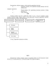 EWSD komutacinis laukas 17 puslapis