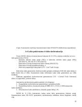 EWSD komutacinis laukas 20 puslapis