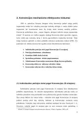 Žmogaus teisių ir pagrindinių laisvių apsaugos mechanizmas taikymo problematika 6 puslapis