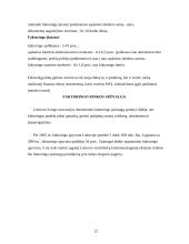 Faktoringo samprata 12 puslapis