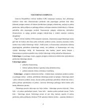 Faktoringo samprata 4 puslapis