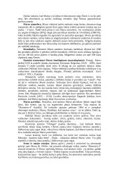 Fantastika ir tikrovė apie Marsą ir jo palydovus 2 puslapis