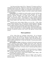 Fantastika ir tikrovė apie Marsą ir jo palydovus 3 puslapis