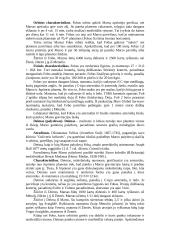 Fantastika ir tikrovė apie Marsą ir jo palydovus 4 puslapis