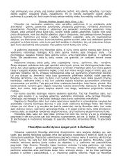 Filosofijos struktūra ir problematika 2 puslapis