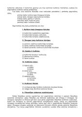 Filosofijos struktūra ir problematika 17 puslapis