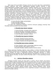 Filosofijos struktūra ir problematika 20 puslapis