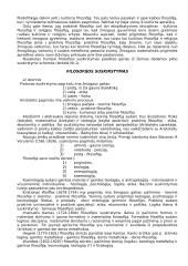 Filosofijos struktūra ir problematika 4 puslapis