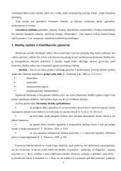 Finansiniai ištekliai 2 puslapis