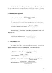 Finansinių rodiklių sistema 11 puslapis