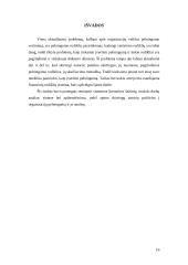 Finansinių rodiklių sistema 17 puslapis