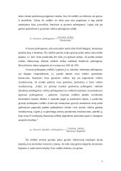 Finansinių rodiklių sistema 6 puslapis