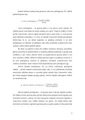 Finansinių rodiklių sistema 7 puslapis