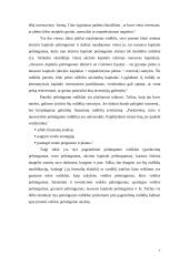 Finansinių rodiklių sistema 8 puslapis