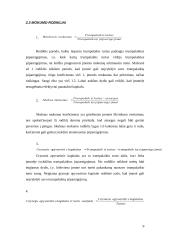 Finansinių rodiklių sistema 10 puslapis