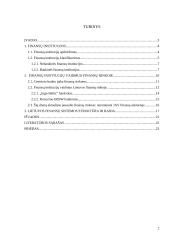 Finansų institucijos ir jų vaidmuo finansų rinkoje 2 puslapis