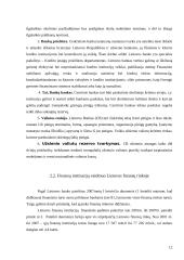 Finansų institucijos ir jų vaidmuo finansų rinkoje 12 puslapis