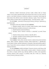 Finansų institucijos ir jų vaidmuo finansų rinkoje 3 puslapis