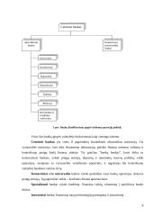 Finansų institucijos ir jų vaidmuo finansų rinkoje 8 puslapis